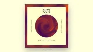 Blowin' Up Treez - Goodnight (over Isley Brothers)
