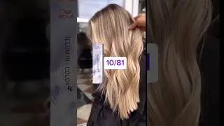 ILLUMINA COLOR 10/81 DA  WELLA