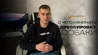 С чего начать дрессировку собаки?
