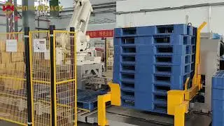 WIN-WIN PACK Robotic Palletizer for Carton Stacking | Palletizing Machine #palletizer #palletizing