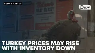 Turkey prices may rise after bird flu impacts on supply