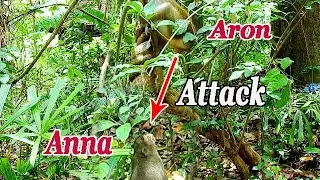 King Aron attacks Anna and Toma from the tree! They both are very scared!