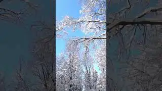 Relaxing Winter Charm | Relaxing Music & Calming 4K Nature | Sleep Relaxation | Relaxing Sceneries