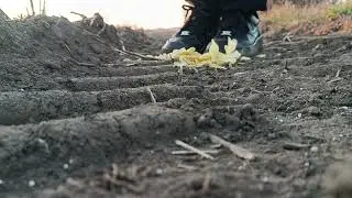 Grinding chips into dust in my af1