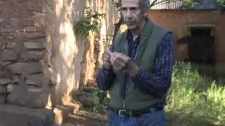 Intro to Dendrochronology - Thomas C Windes
