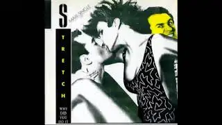 Stretch &lrm;&ndash; Why Did You Do It (12