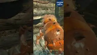 Taming a Giant Bee Queen the wrong way! - Ark #shorts