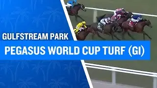 2026 $1,000,000 Pegasus World Cup Turf (G1) at Gulfstream Park