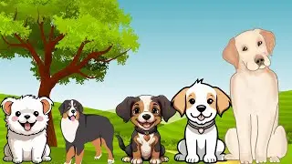 Dog Sound Effect.