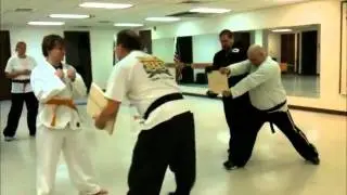 Shane - 2011-04-20 - Step Behind Side Kick