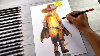 Puss In Boots Drawing | Timelapse Video | Colour Pencil Drawings | Artdraw