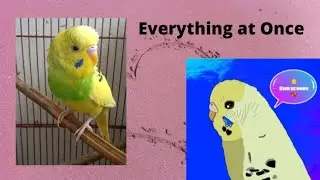 Cute Feather Flock #EverythingatOnce