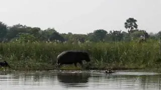 Mvuu Camp Malawi