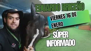 #Hipismo No te pierdas el an&aacute;lisis de GUARDI para este viernes 16 de Enero en La Rinconada.