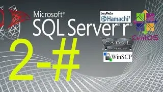 sql private server kurulumu 2