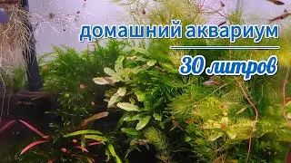 Аквариум Dennerle 30 литров.