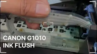 Canon G1010 Ink Flush &ndash; Print Problem