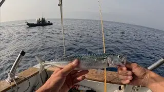 Je pêche le MAQUEREAU en PLEINE MER ! Ils étaient là ! 