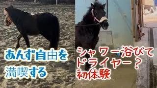 あんず自由時間と初めてのジェットヒーター体験