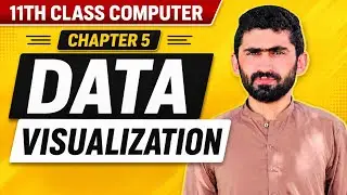 What is Data Visualization |11th Class Computer | Chapter 5: Data Analytics
