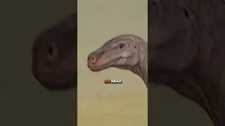 Who Was The First Dinosaur? | #dinosaurs #paleontology #dinomachine