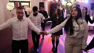 Formația Ringo Bârlad ❌ Colaj hore + bătute