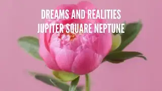 Jupiter Square Neptune Song: Dreams and Realities