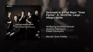 Serenade in B Flat Major Gran Partita , K  361 370a Largo   Allegro molto