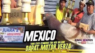 FINAL LUAR BIASA‼️MEXICO DARI TIM NEO BULGARY RAIH JUARA 1 PRALOMBA MOBIL JAZZ LEGOK CILE PEKALONGAN