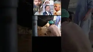 Gujjar Caste history Indian and Pakistani Gujjar #informationtv viral shorts about Caste of Gujjar