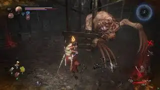 Waira- Nioh 2 The Complete Edition