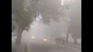 Weather Report: MP shivering due to severe cold, cold wave alert in many districts, fog will prevail