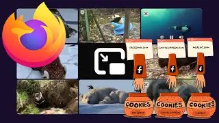 Firefox 86 New Features