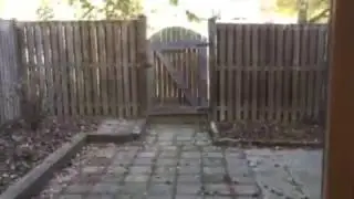 6912 Lower Level Walkout to Fenced-In Backyard
