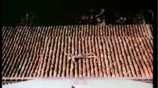 insane memory