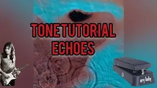 Echoes Seagull Tone | Tone Tutorial #2 | #pinkfloyd #guitar #echoes