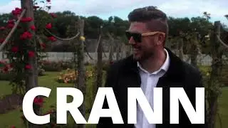 Sustainable sunglasses to match your style | Irish Sunglasses Crann
