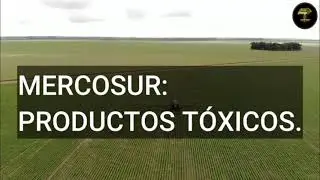 Mercosur &iquest;productos t&oacute;xicos?