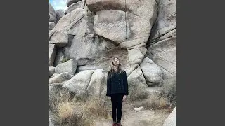 Carnivore