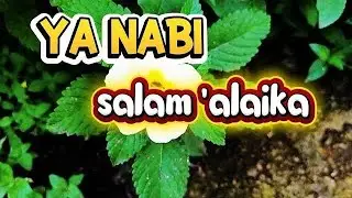 Bikin merinding..MAHALLUL QIYAM || ya nabi salam 'alaika tanpa musik paling menyentuh
