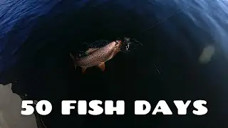 Strawberry: Top 3 Tips to Catch Tons of Fish (Utah Fishing Tips)