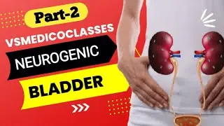 bladder in hindi || Neurogenic bladder || Bladder dysfunction || Bladder dysfunction || part 2