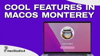 Cool Features In macOS Monterey