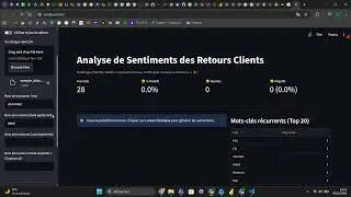 Analyse de Sentiments Multilingue avec BERT