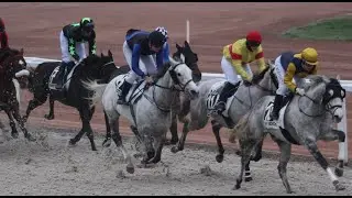Jockey cam at Mons for the last race of the 2025 season with Cyril Vermeire and Spanish Vega