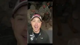 Military Working Dogs On Deployment - More Than Finding IEDs