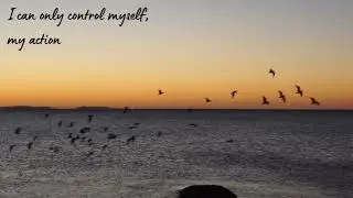 only we can control ourselves ☺️ morning affirmation#affirmation#incentive#motivation