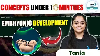 Step-by-Step Guide to Embryonic Development | Concepts Under 10 Minutes | NEET 2025 | NEET Zoology
