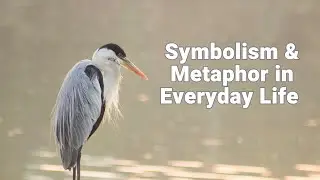 Symbolism & Metaphor In Everyday Life - Satsang Talk with Swami Matananda