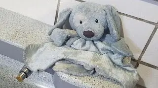 Adventures of lost stuffed animal go viral